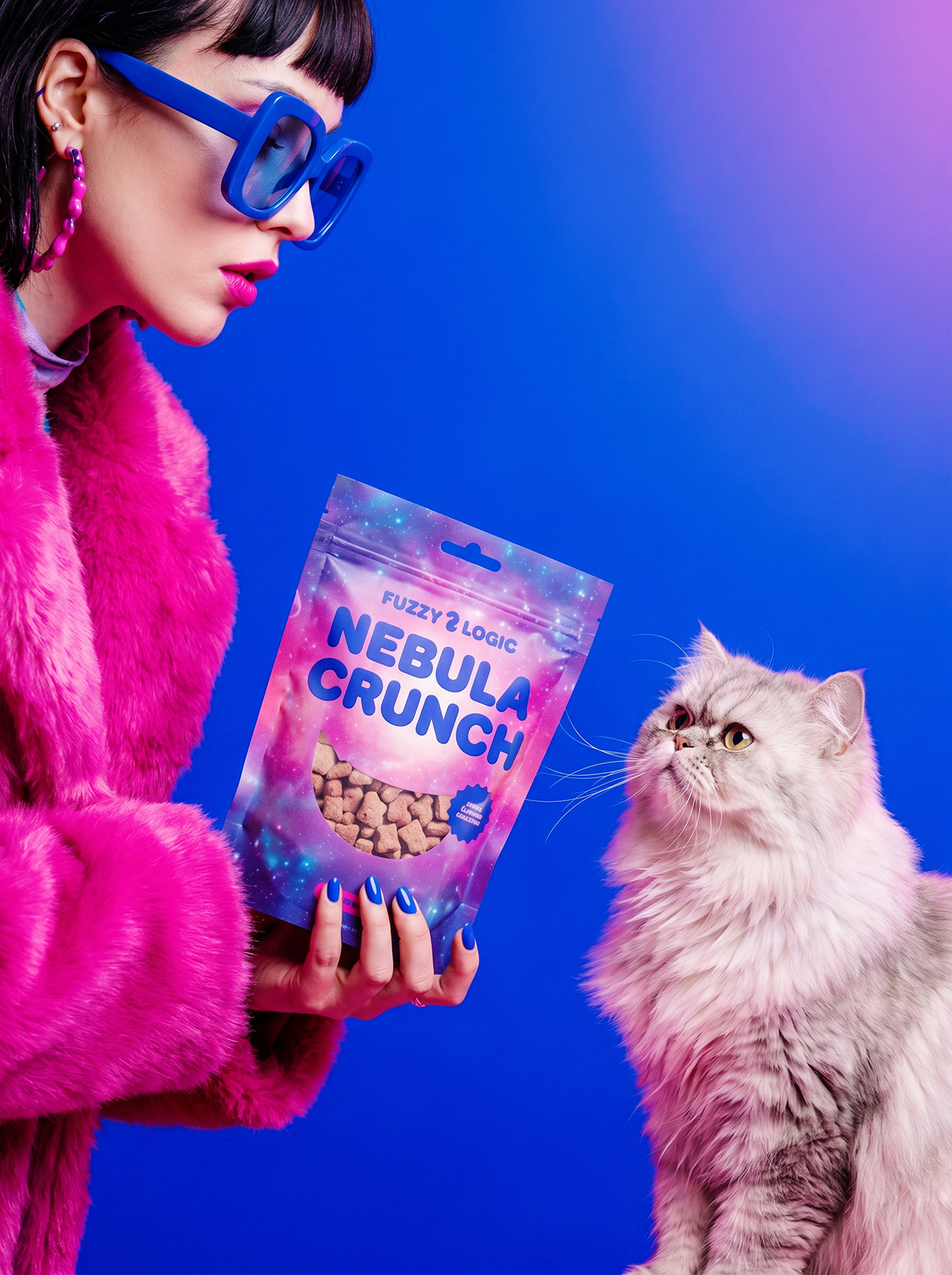 FUZZY LOGIC | Space-Pop Pet Lifestyle Branding Image 35