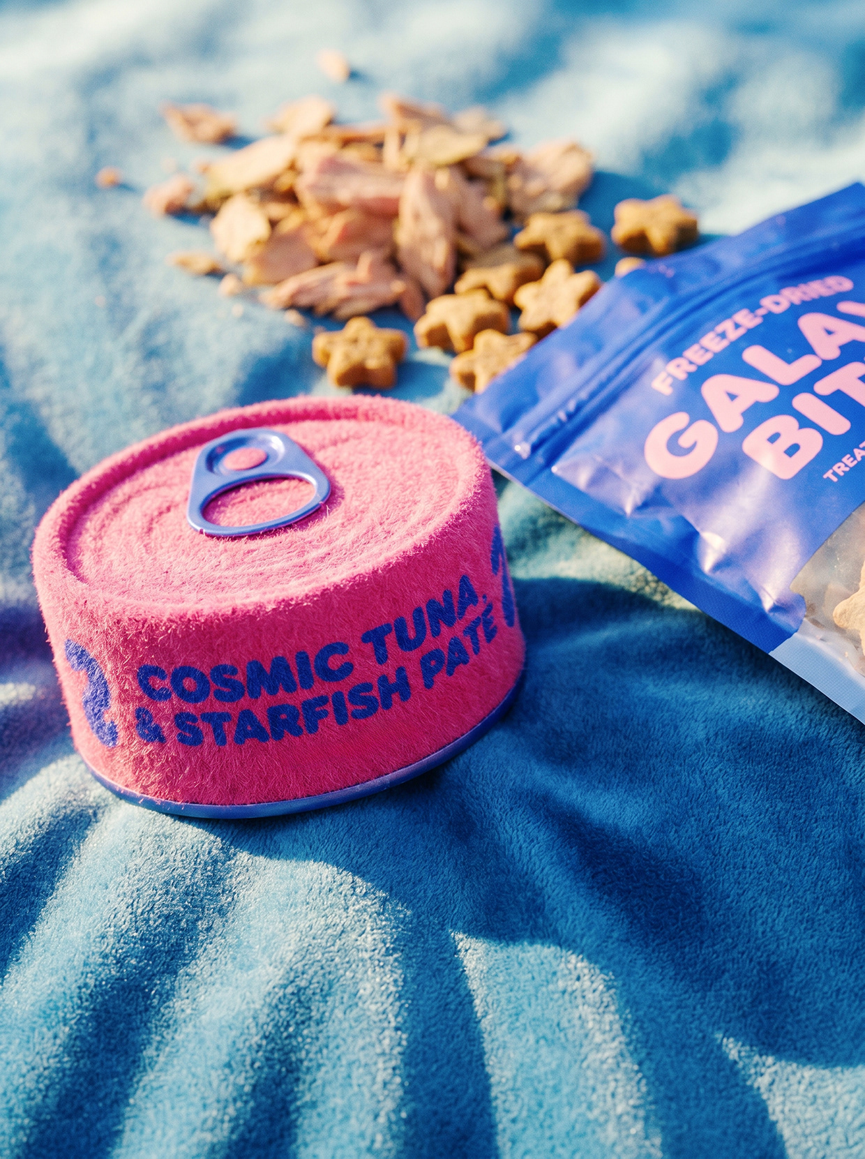 FUZZY LOGIC | Space-Pop Pet Lifestyle Branding Image 65
