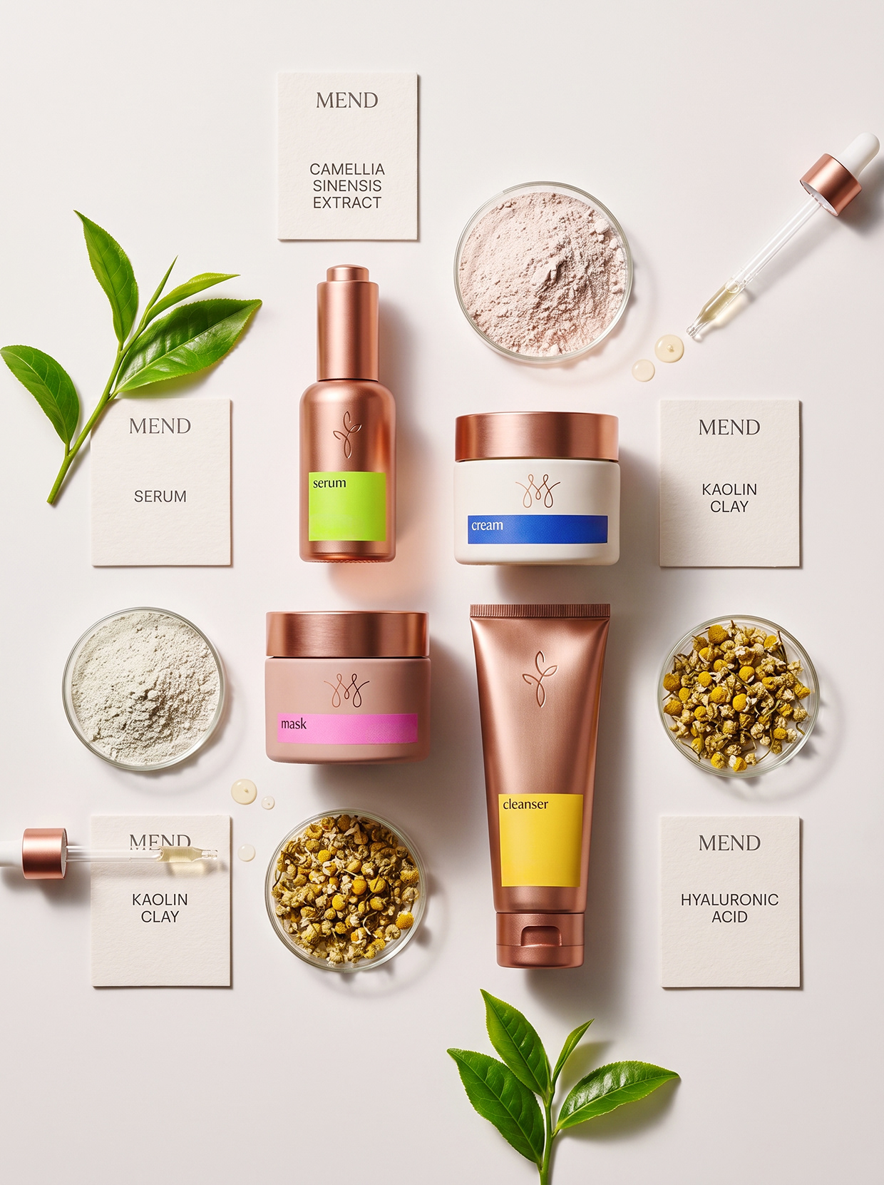MEND | High-Contrast Botanical Skincare Brand Identity Image 67