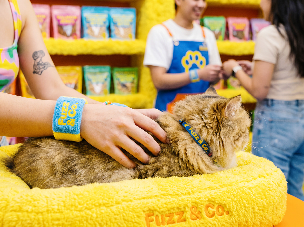 FUZZ & CO. | Vibrant Kidcore Pet Branding by Up-Brands™ Image 14
