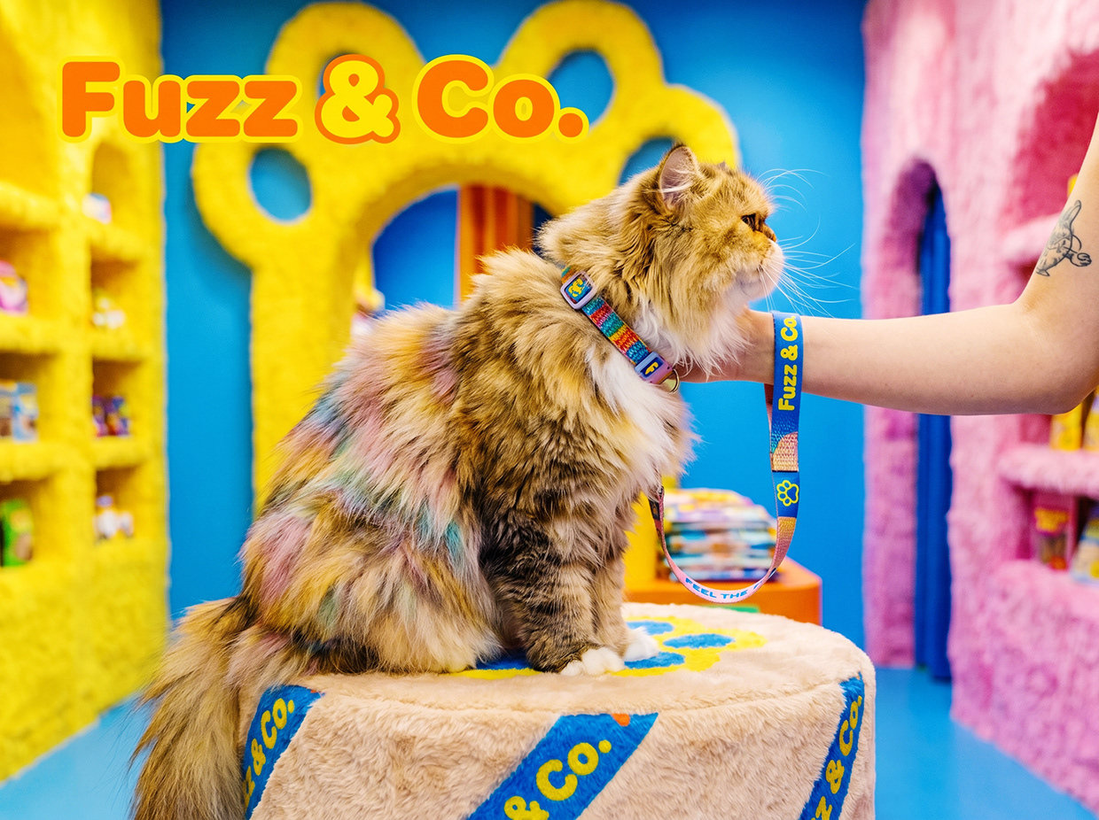 FUZZ & CO. | Vibrant Kidcore Pet Branding by Up-Brands™ Image 22