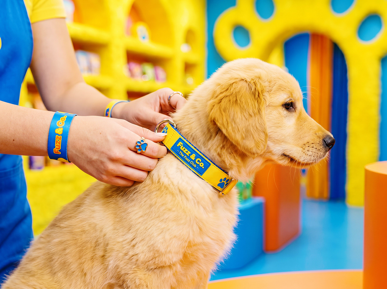 FUZZ & CO. | Vibrant Kidcore Pet Branding by Up-Brands™ Image 52