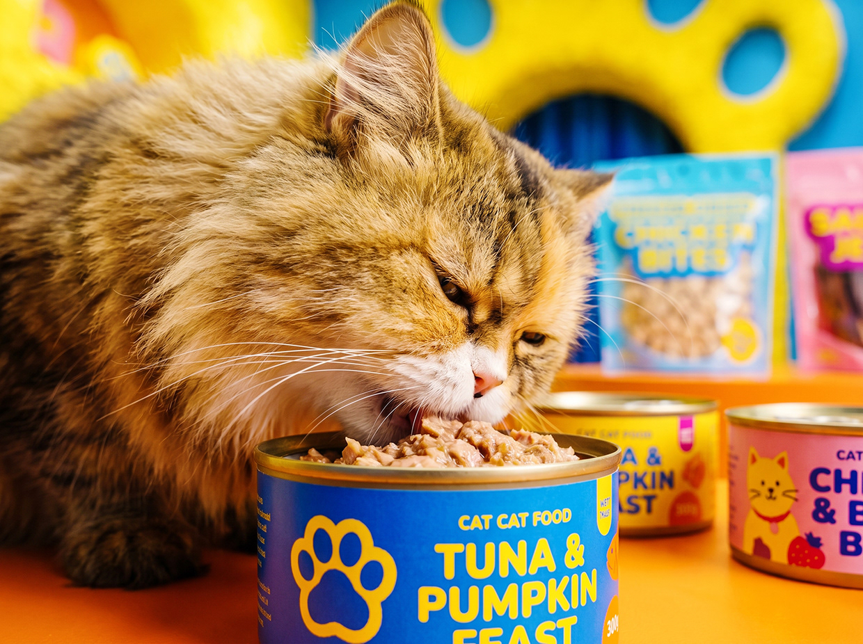 FUZZ & CO. | Vibrant Kidcore Pet Branding by Up-Brands™ Image 53
