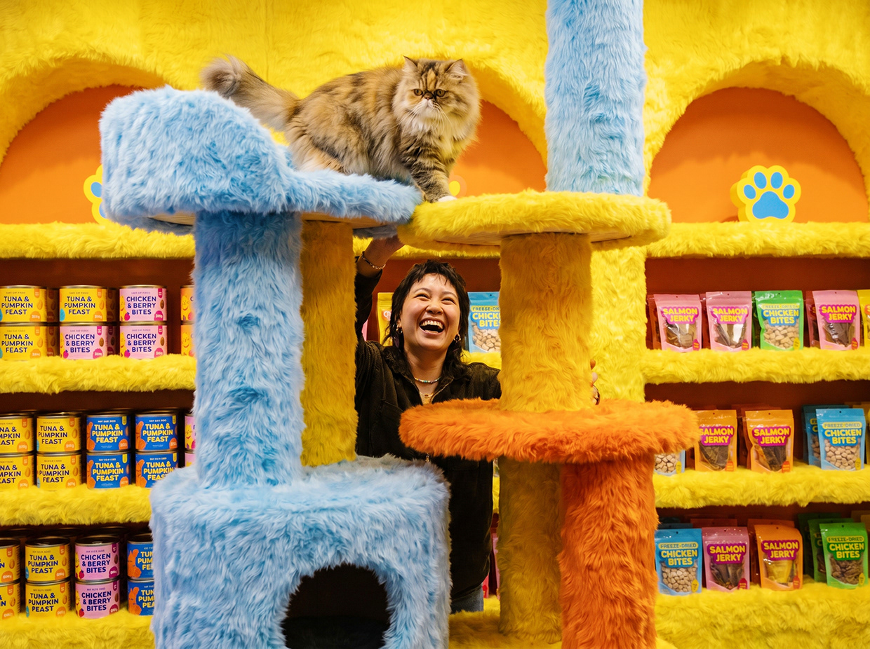 FUZZ & CO. | Vibrant Kidcore Pet Branding by Up-Brands™ Image 61