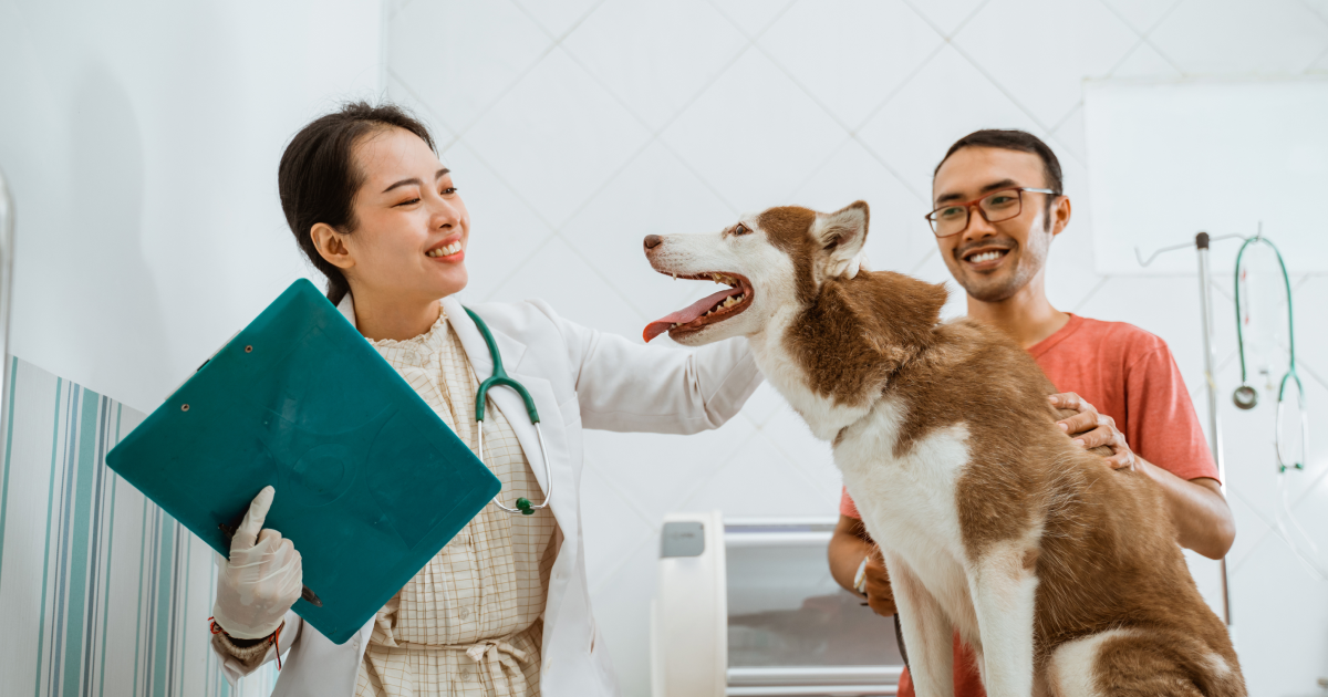 Smart Pet Care & Veterinary Appointment App | EncodeDots