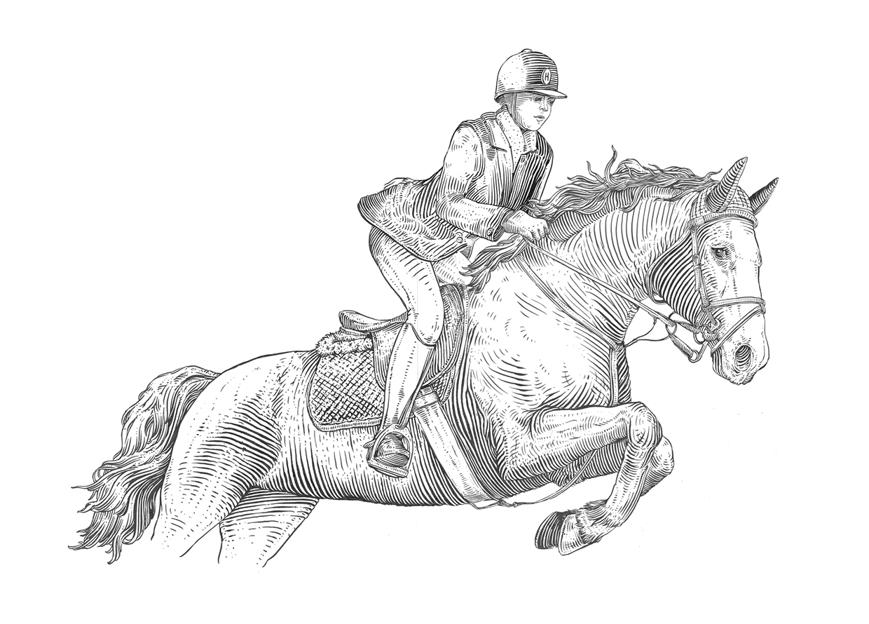 Horse House Image 7