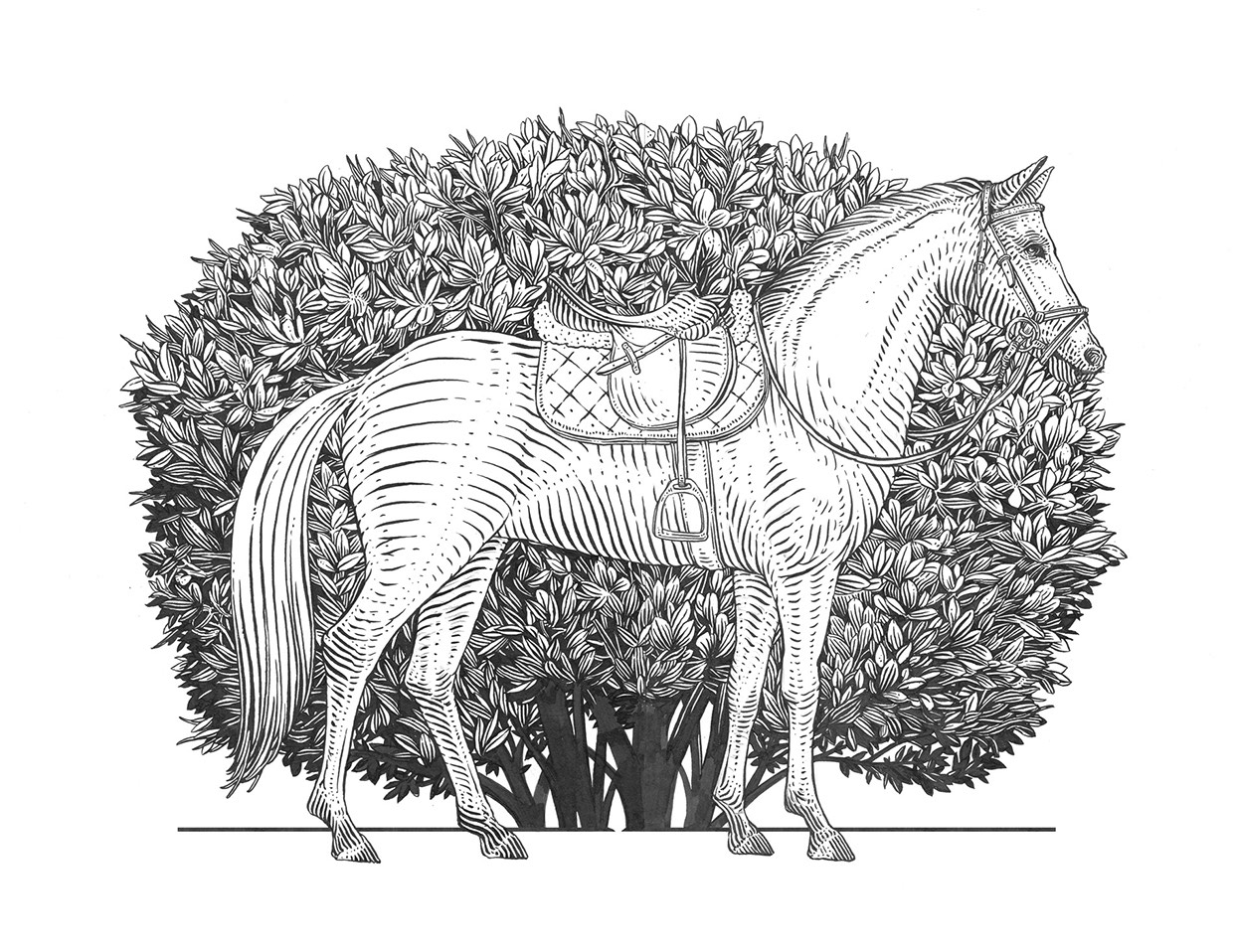Horse House Image 8