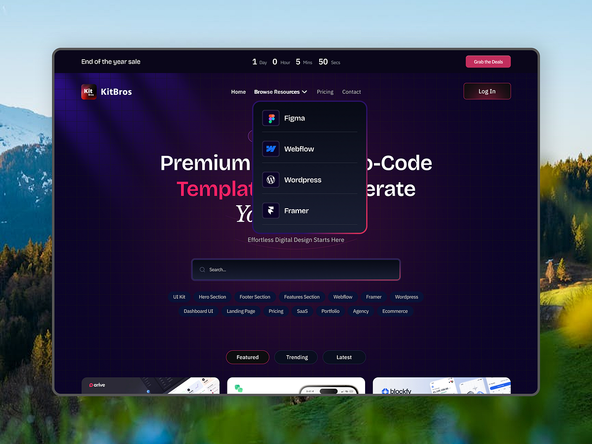 Website Design
