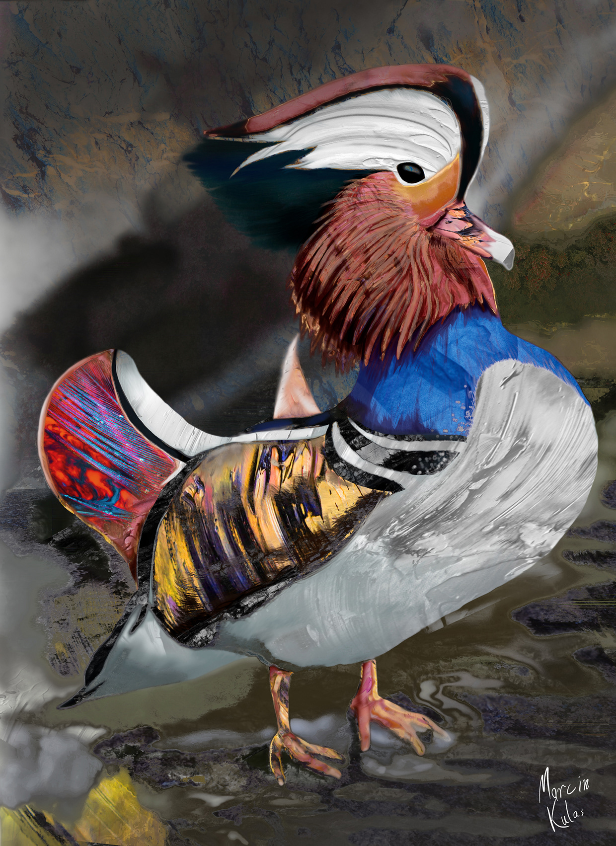 Abstract Duck | Digital Painting Image 2