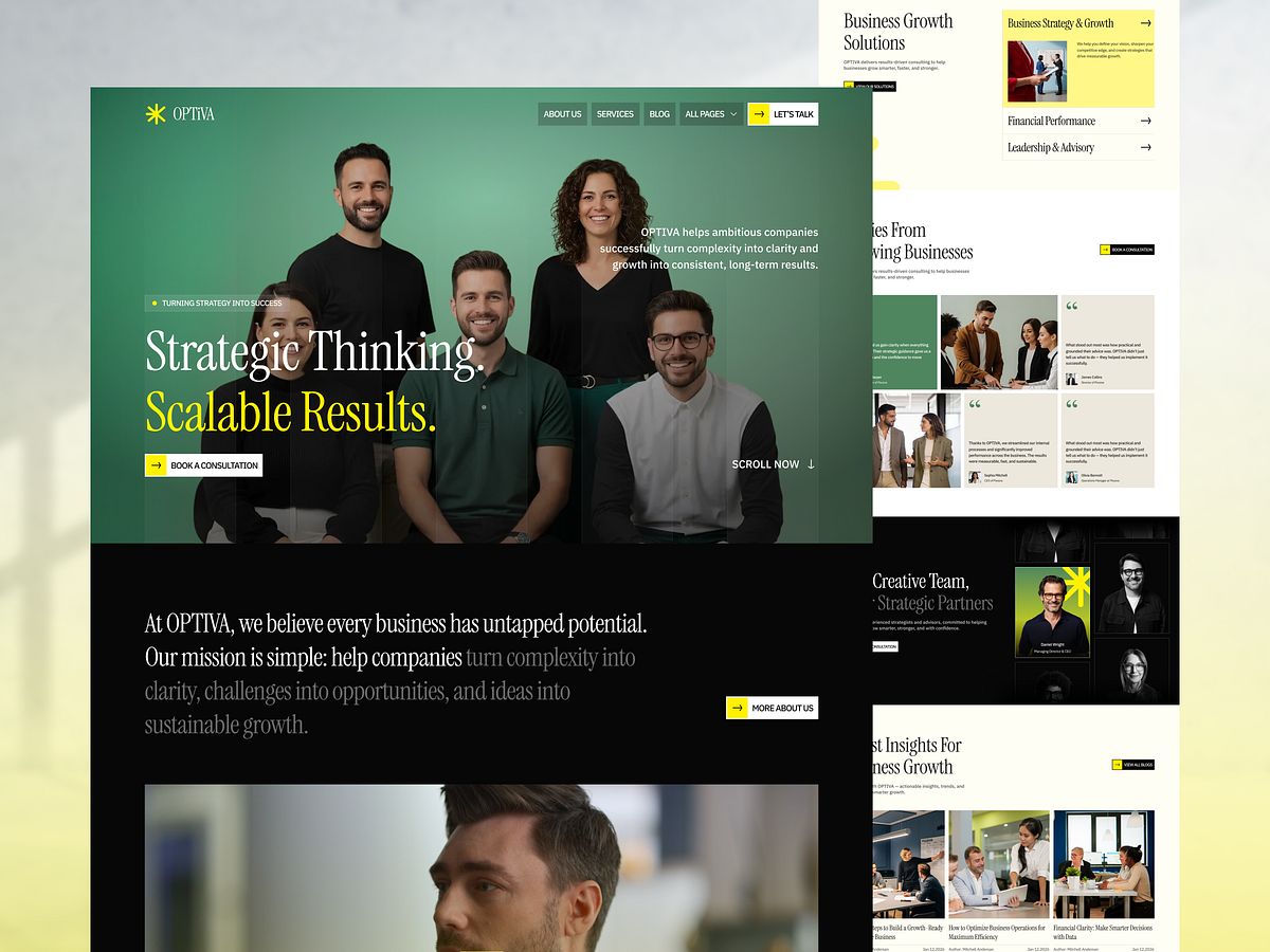 OPTIVA — Business Consulting Landing Image 1