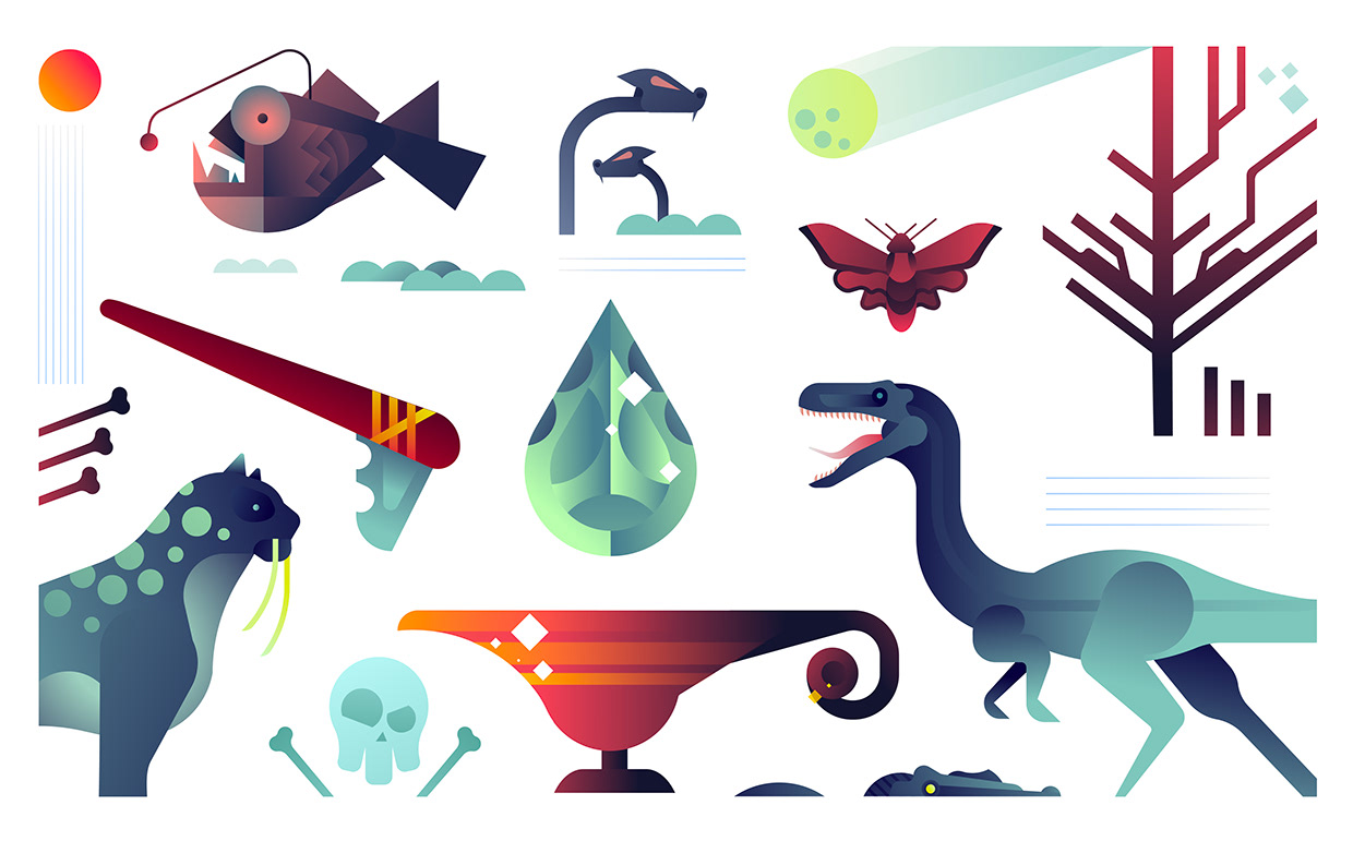 Illusions in Illustration. Image 4