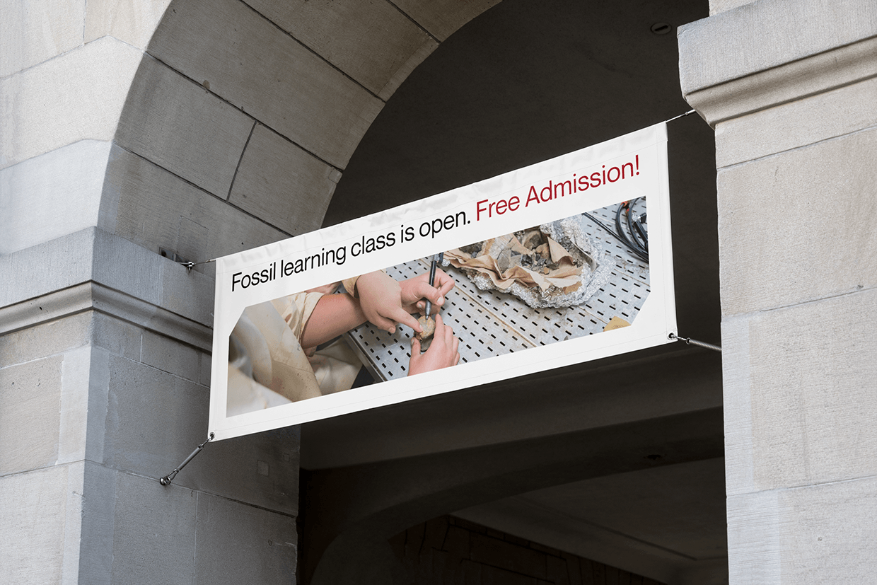 HCMC Geological Museum - Rebranding Image 8