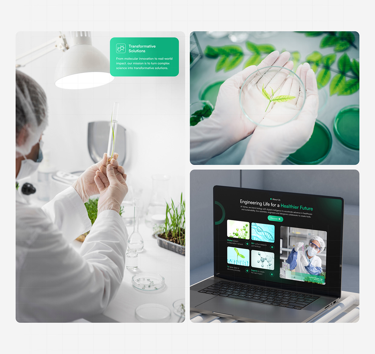 Vertex | Biotechnology Company Website Design Image 4