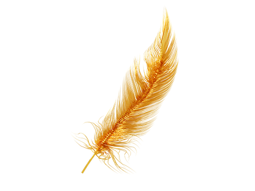 Clay&Gold 3D exploration Image 5