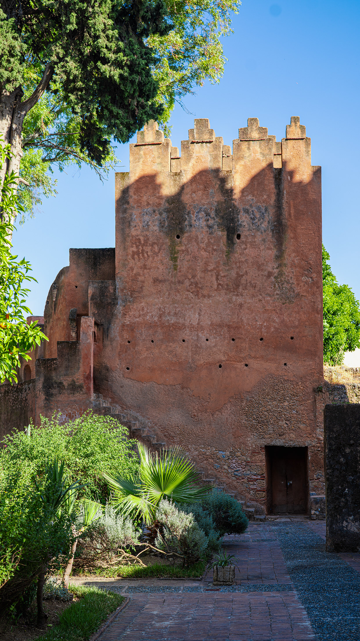 Roads of the Rif — Northern Morocco Image 9