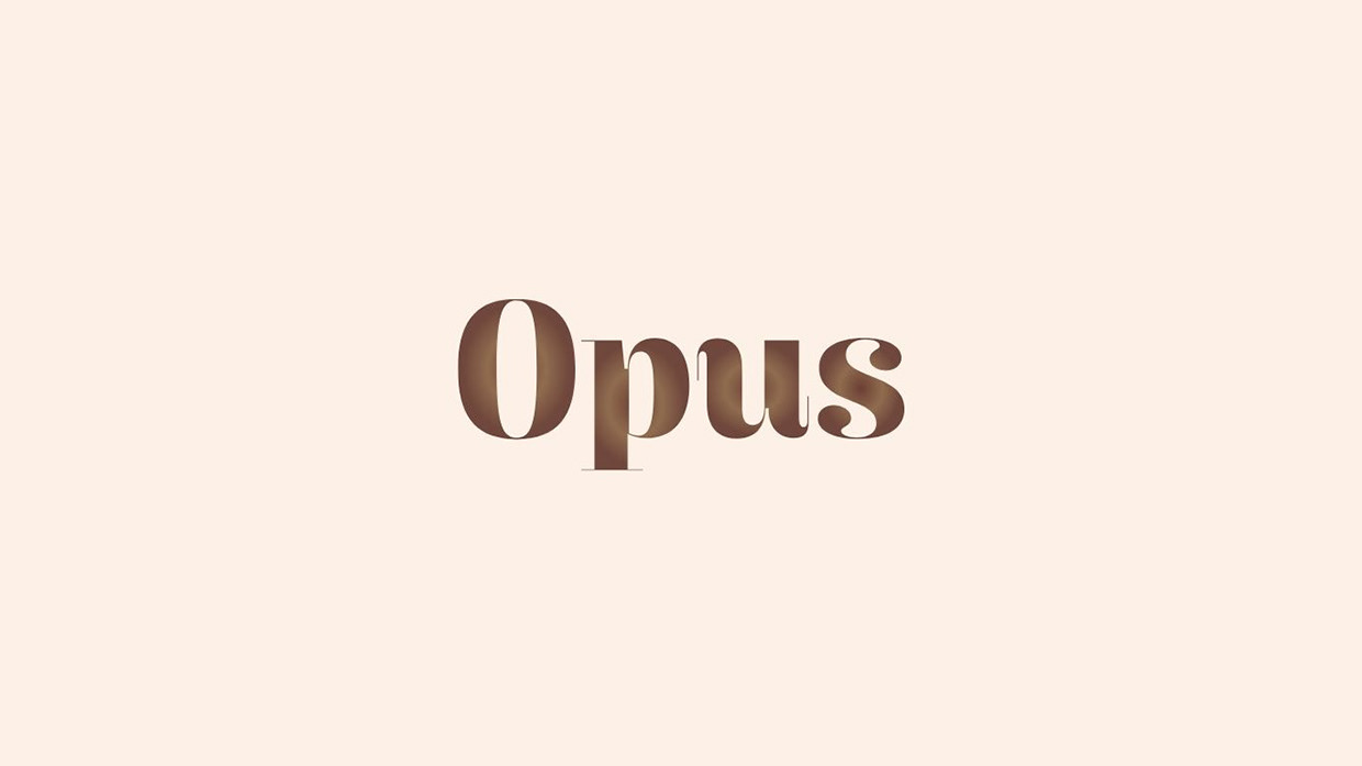 Opus, Premium Vinyl Store | Brand Identity & UI/UX Image 0