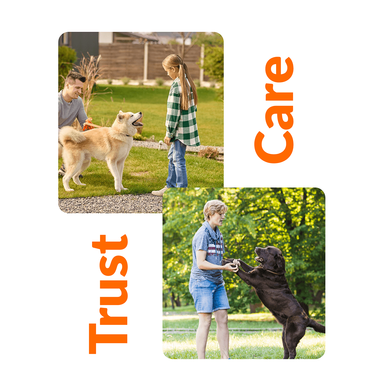 PawMatch | AI-Powered Pet Adoption App Image 0