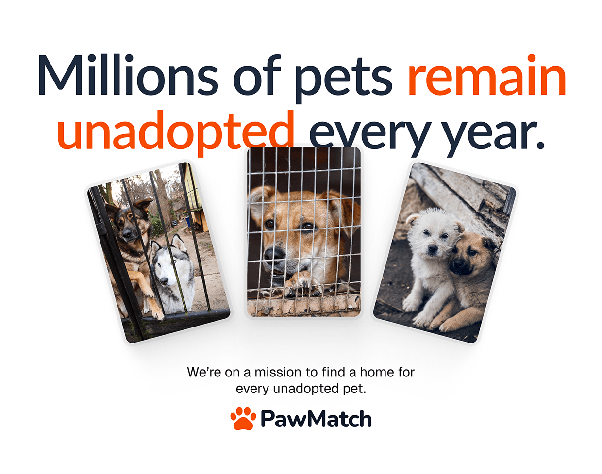 PawMatch | AI-Powered Pet Adoption App Image 1