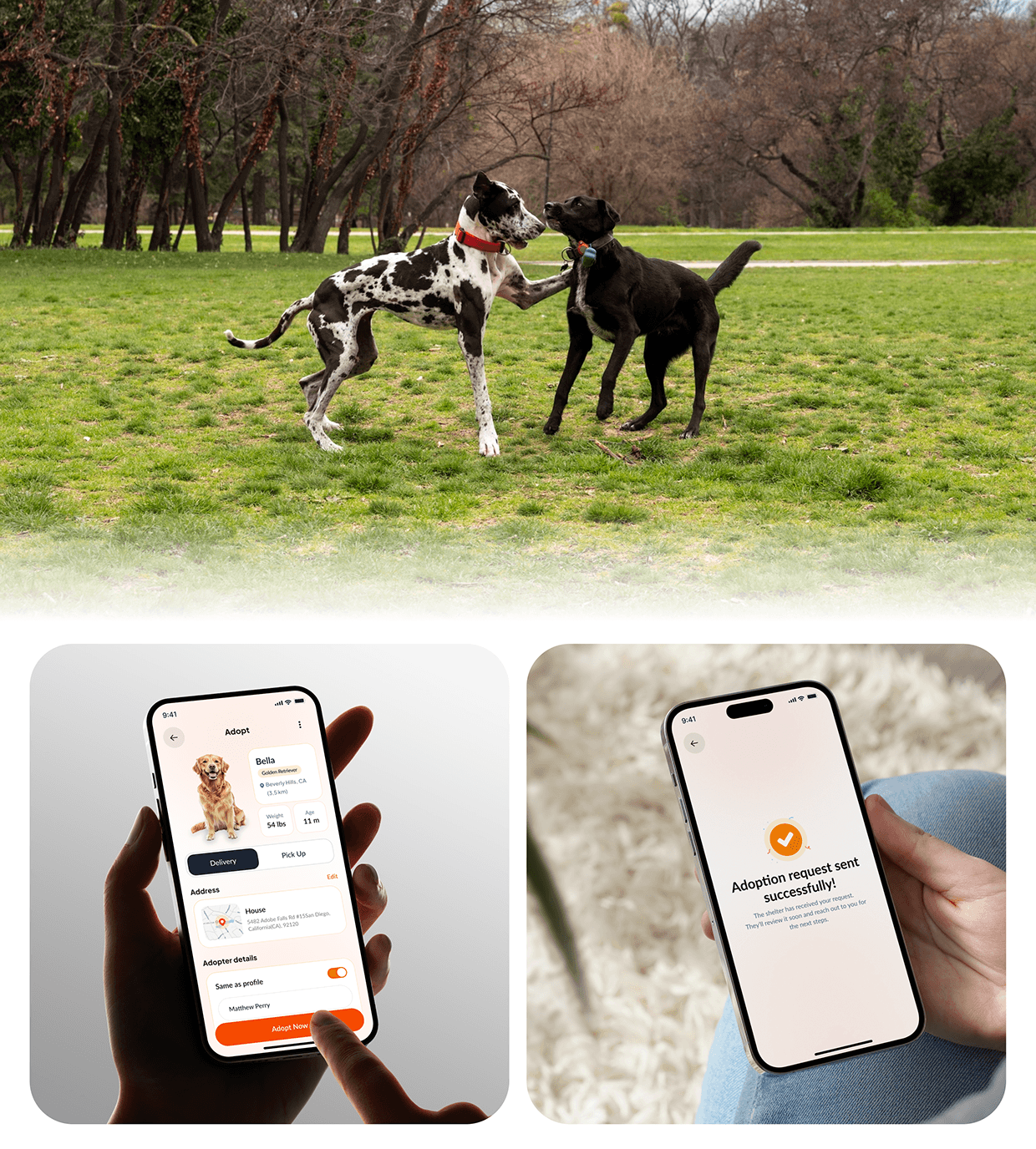 PawMatch | AI-Powered Pet Adoption App Image 12