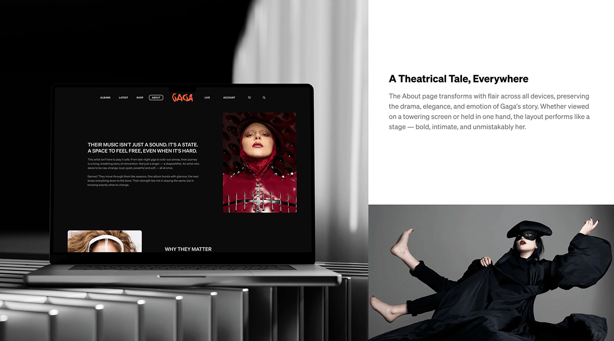 Lady Gaga Discography – UX/UI Concept Image 18