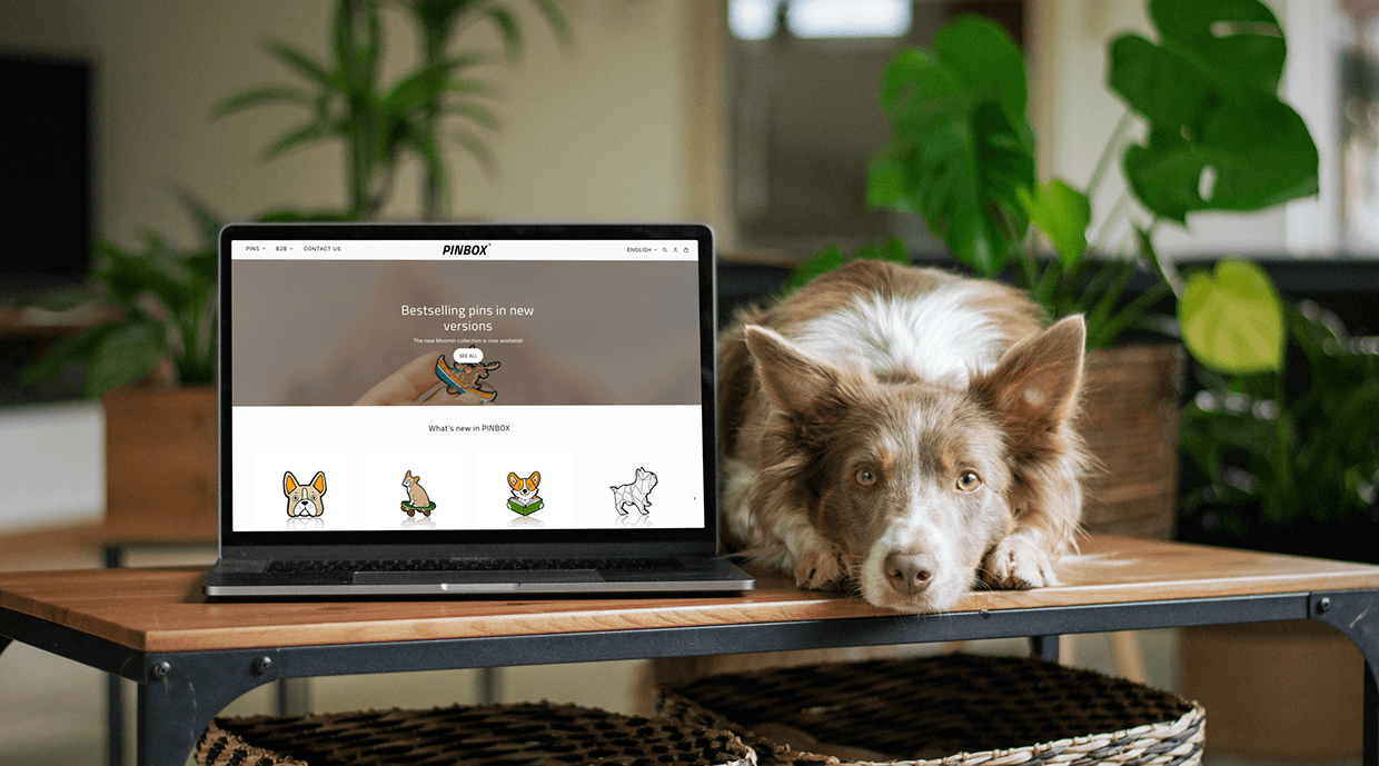 Pinbox – UI/UX for a Niche E-Commerce Brand Image 1