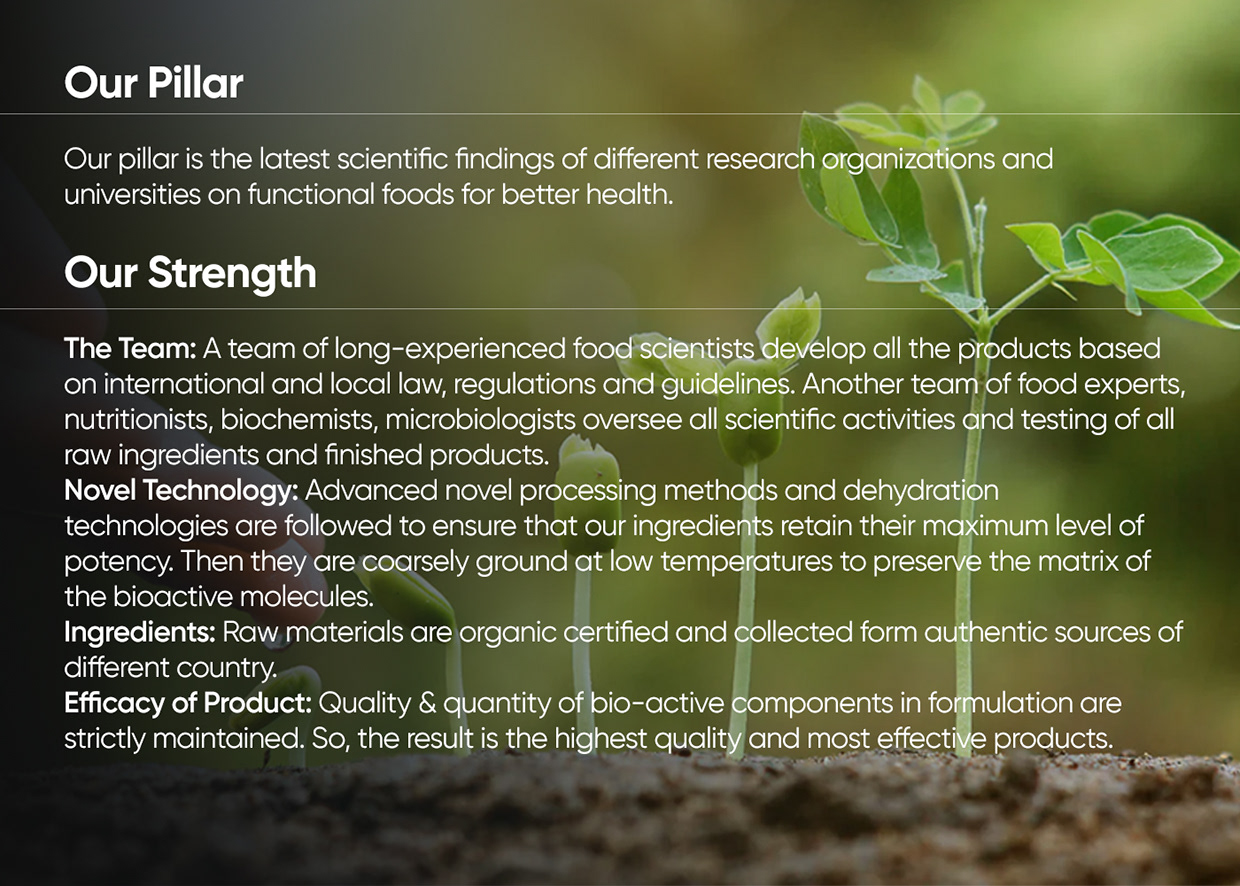 Brand identity & guideline Image 2