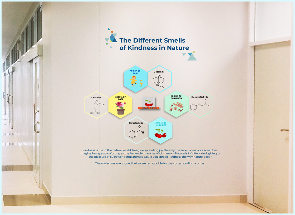 Space Branding Project Image 16