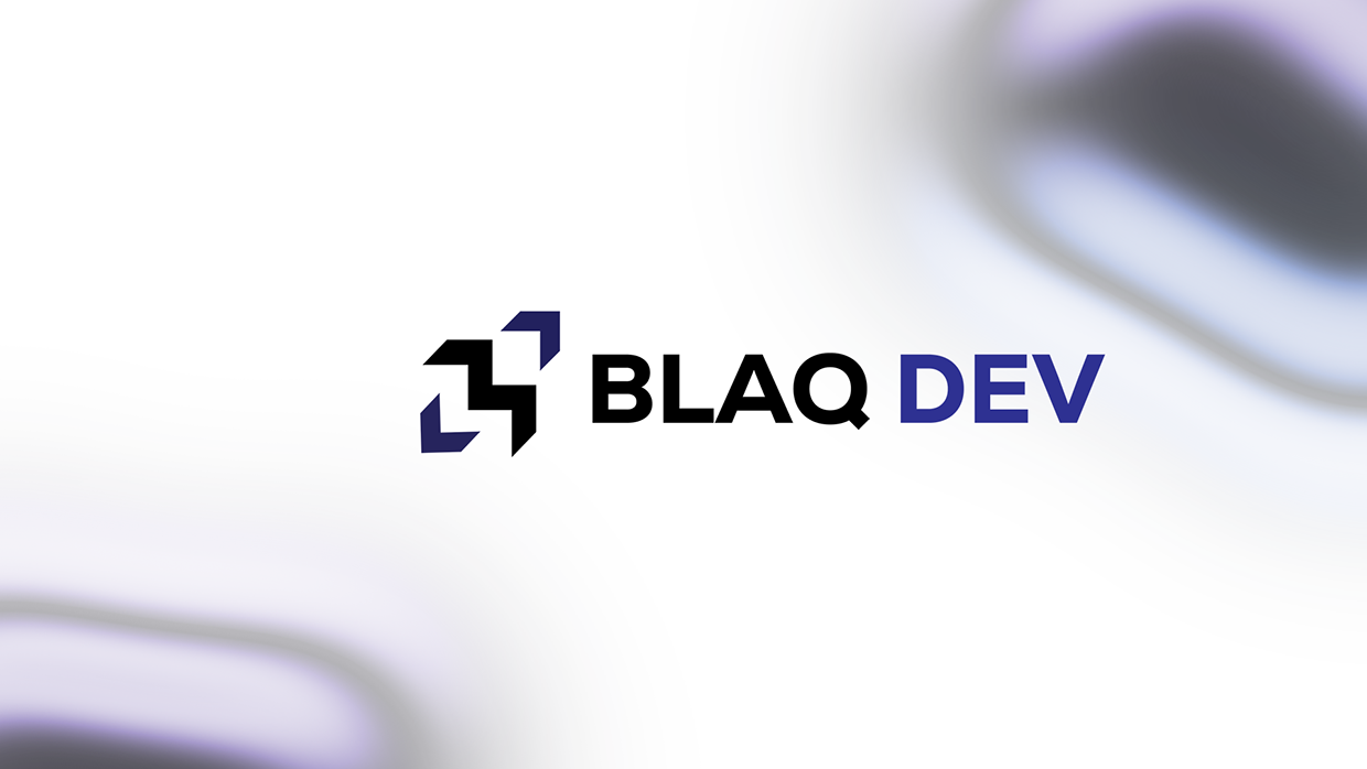 BLAQ DEV VISUAL IDENTITY Image 0