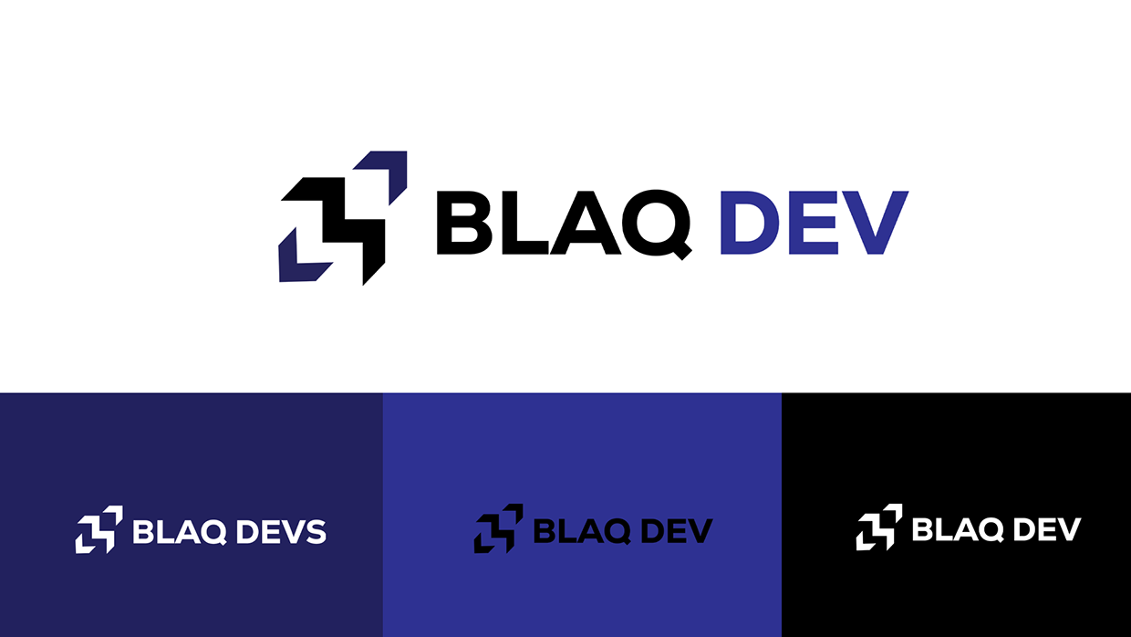 BLAQ DEV VISUAL IDENTITY Image 7