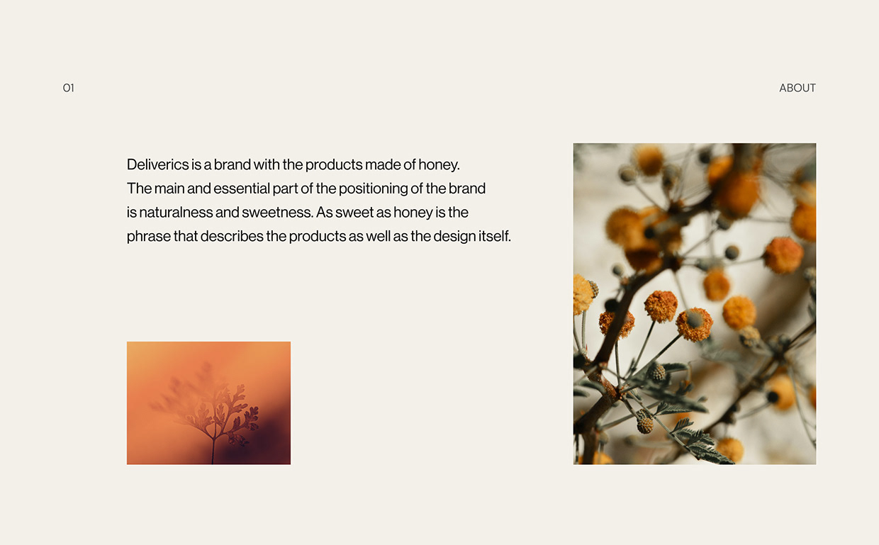 DELIVERICS｜Ecommerce Website Design Image 0