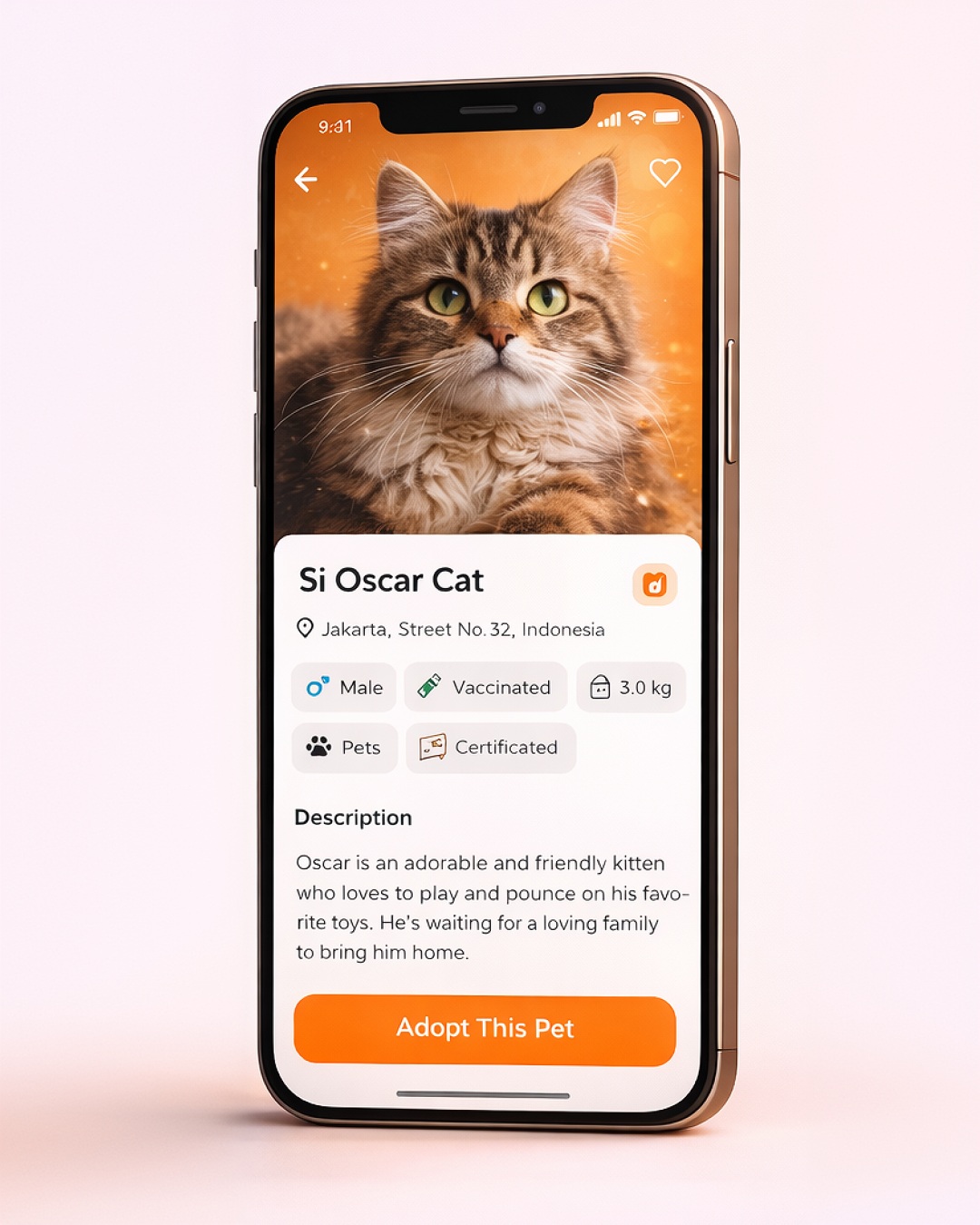 Modern Pet Adoption Mobile App Design 🐾 Image 1
