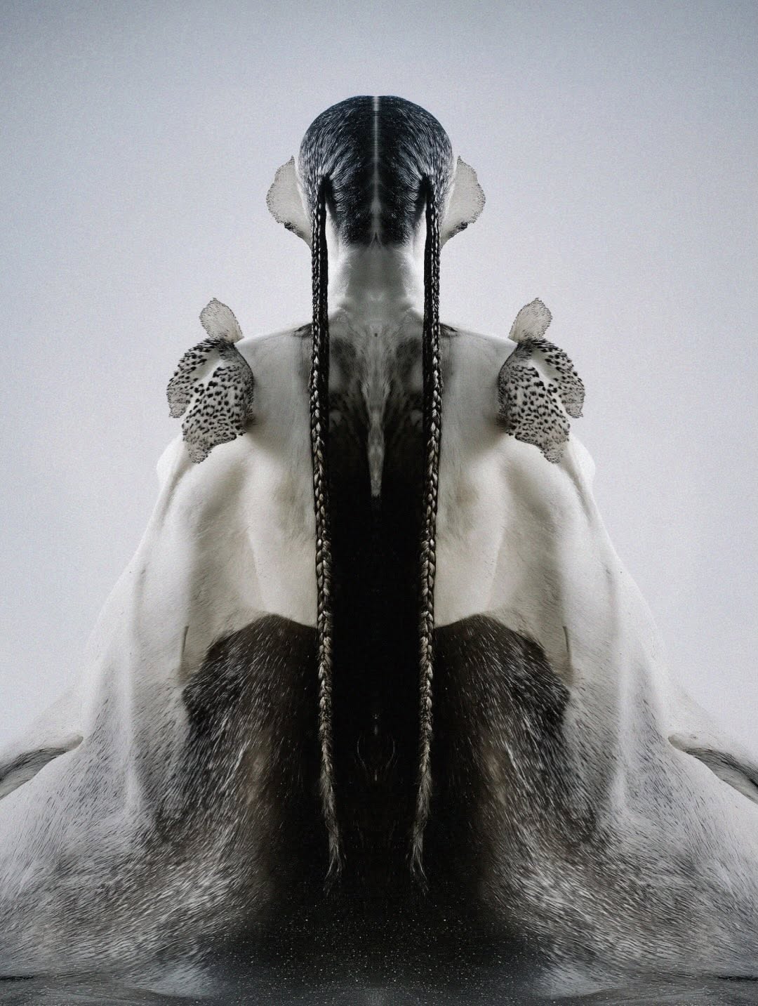 Bodily Rites - Robin Kane Image 4