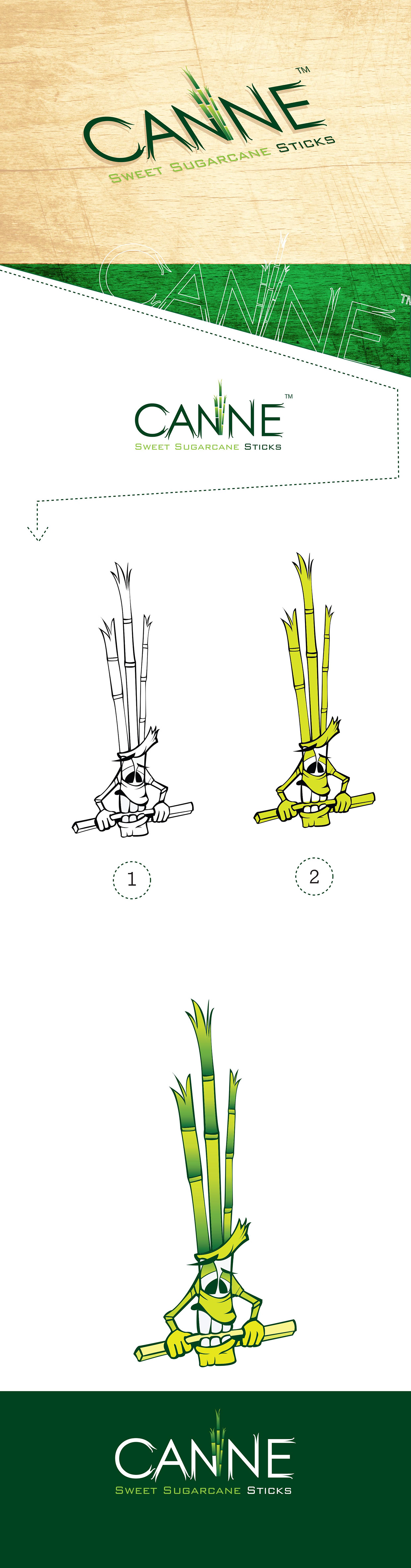 CANNE( sweet sugarcane sticks)