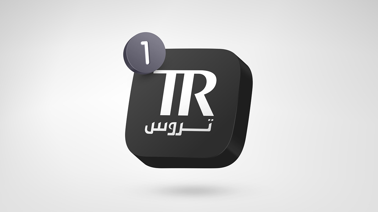 Truss Professional | Arabic Brand Identity (+En) Image 8
