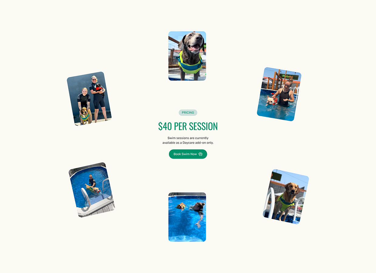 Award-Winning Pet Care Webflow Website Design Image 10