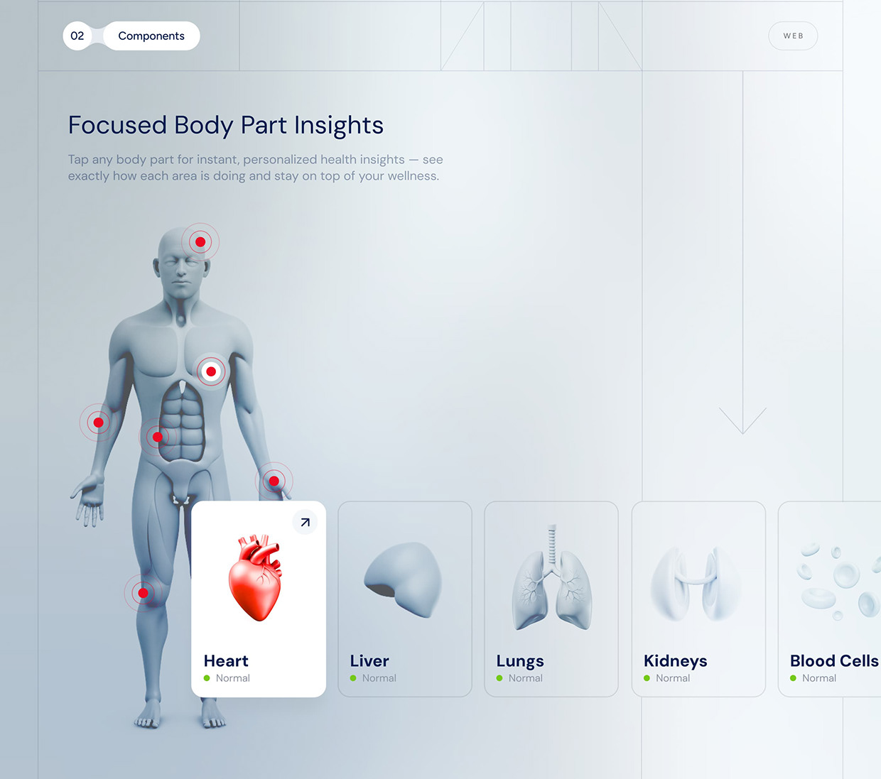 iHealth — Healthcare Tracker App Design Image 2