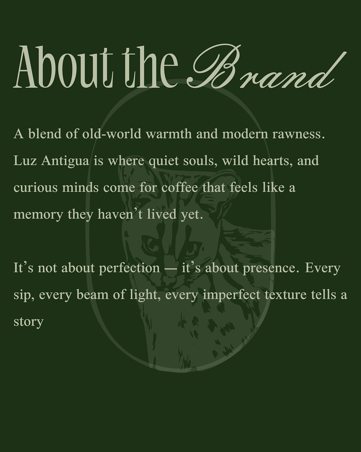 Lux Antigua Branding Image 1
