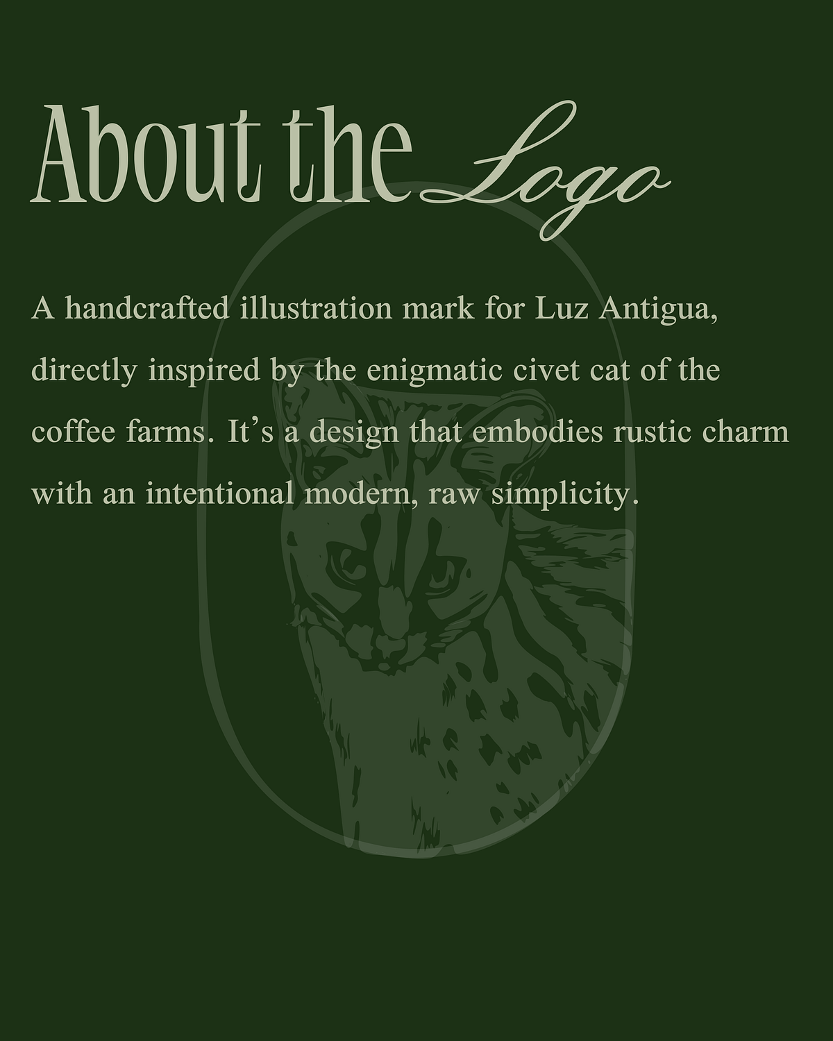 Lux Antigua Branding Image 2