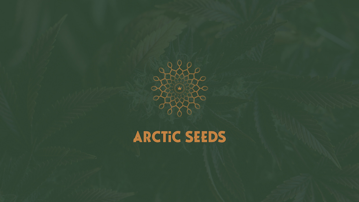 Arctic Seeds - Cannabis Brand Identity & Website Image 0