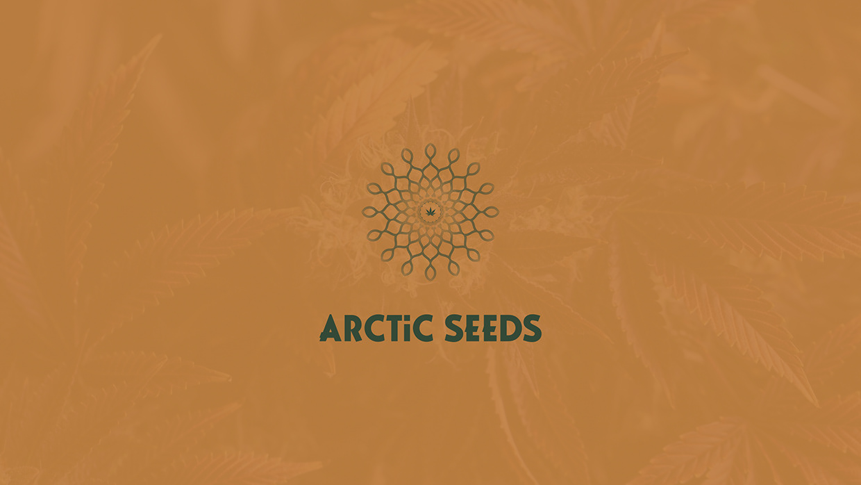 Arctic Seeds - Cannabis Brand Identity & Website Image 1