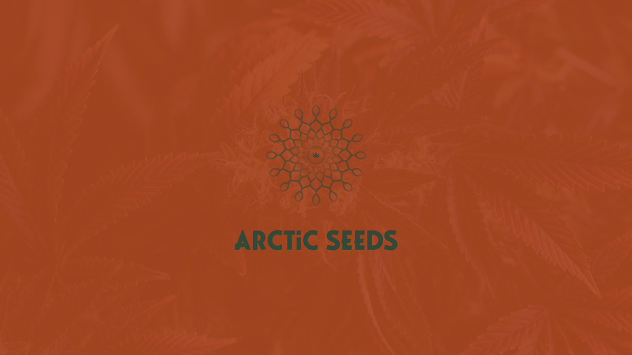 Arctic Seeds - Cannabis Brand Identity & Website Image 2