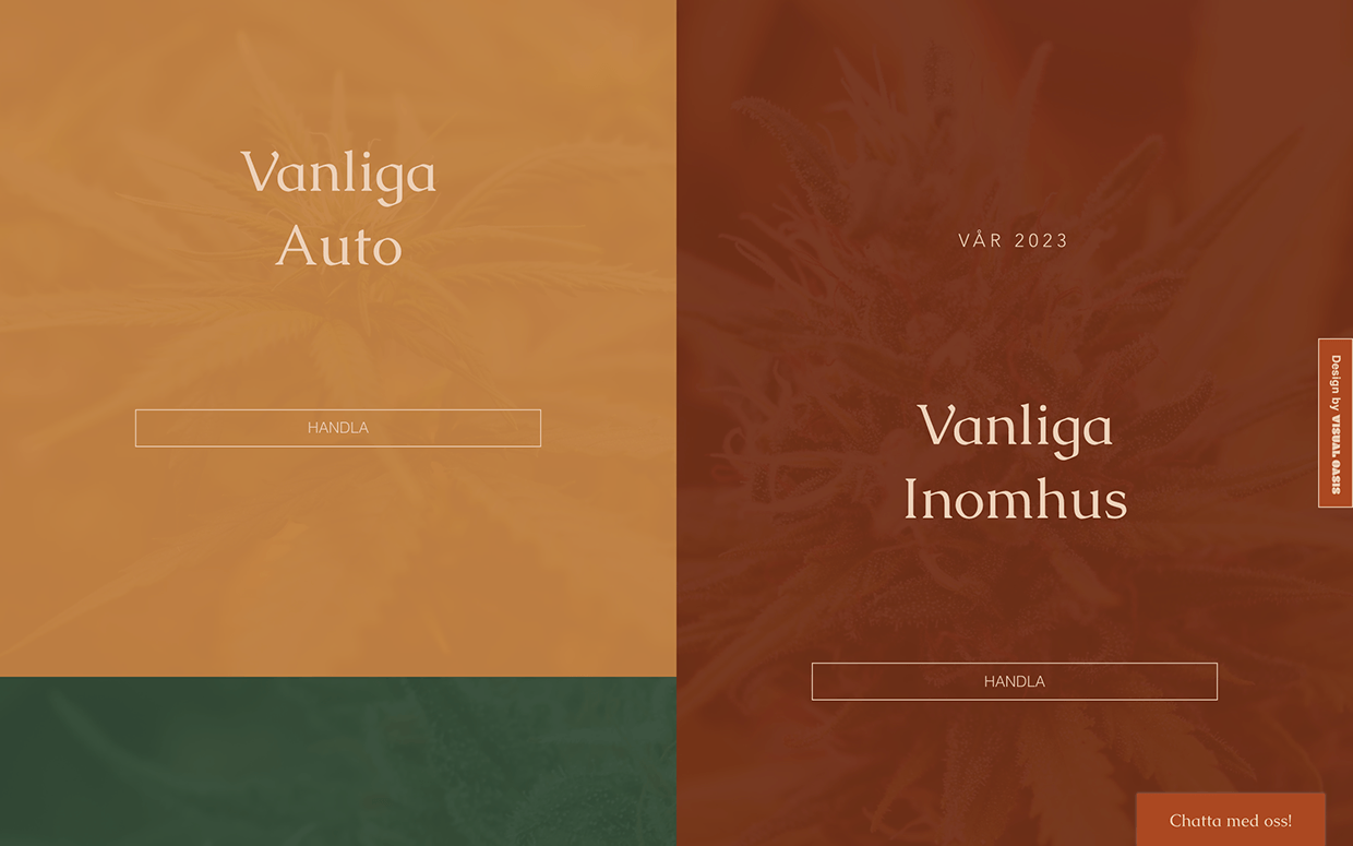 Arctic Seeds - Cannabis Brand Identity & Website Image 4