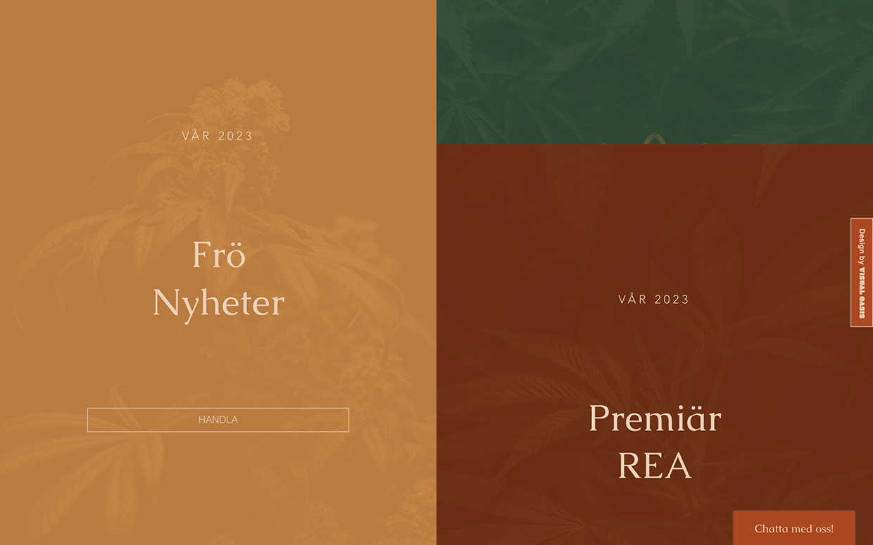 Arctic Seeds - Cannabis Brand Identity & Website Image 7