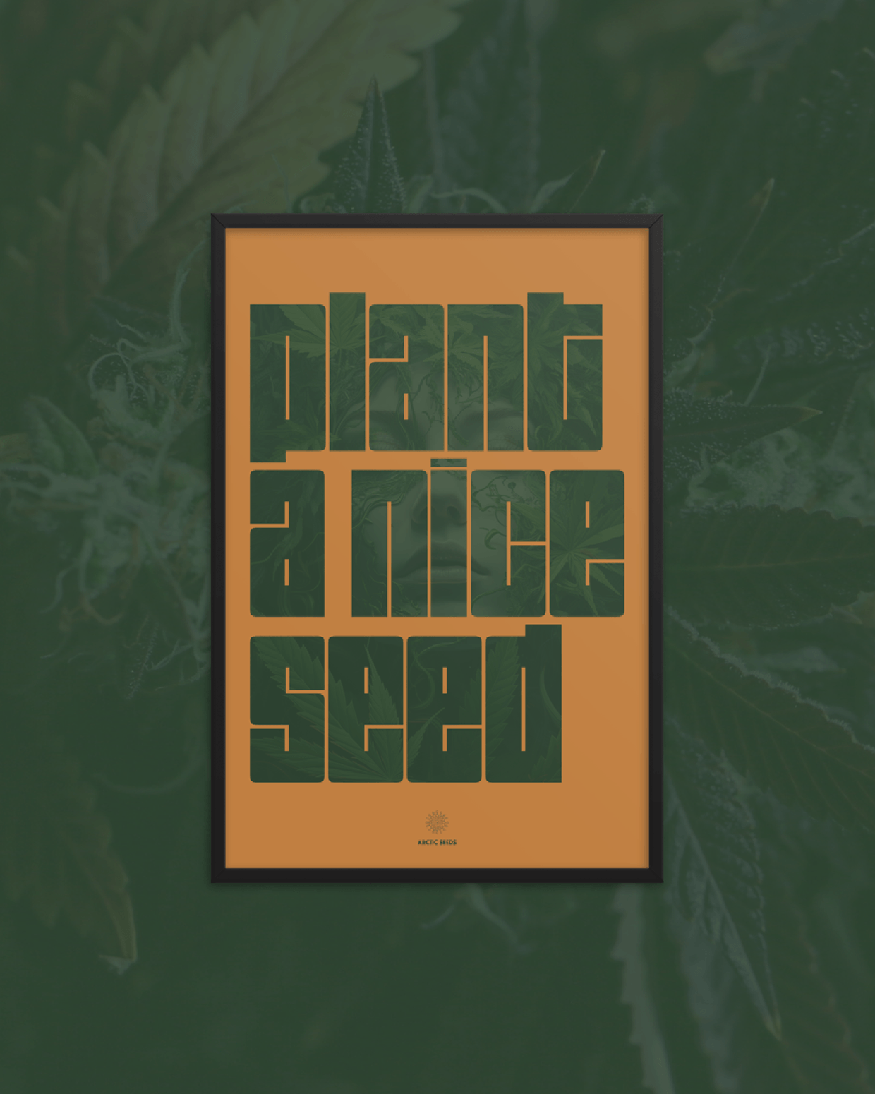 Arctic Seeds - Cannabis Brand Poster Series Image 0