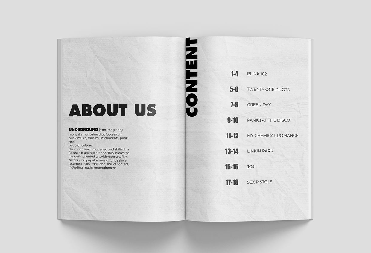 Punk Rock Magazine design Image 3