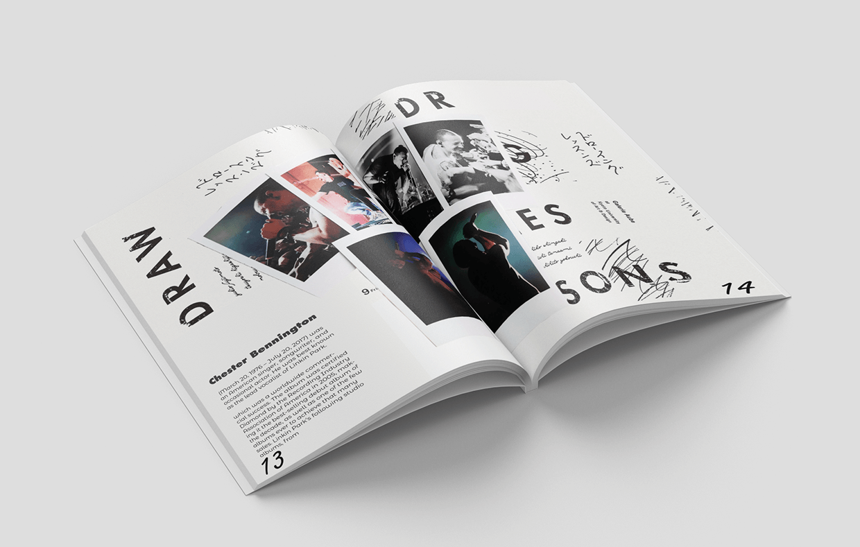 Punk Rock Magazine design Image 10