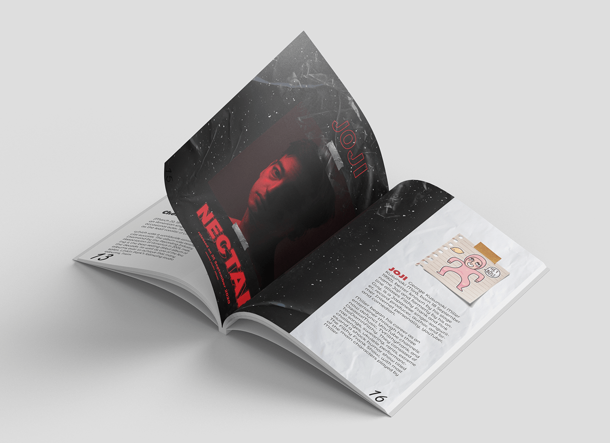 Punk Rock Magazine design Image 11