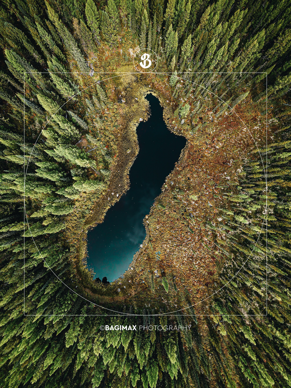 BAGIMAX Image 4