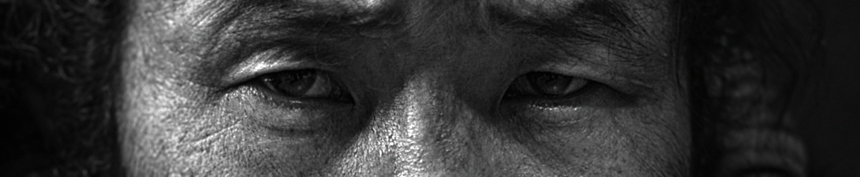 THE TORMENTOR® Image 0