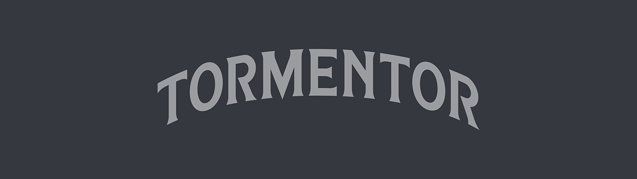 THE TORMENTOR® Image 12